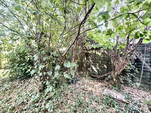 Woodland Garden- click for photo gallery
